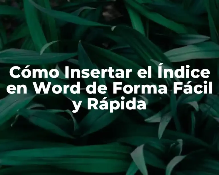 Cómo Insertar el Índice en Word de Forma Fácil y Rápida