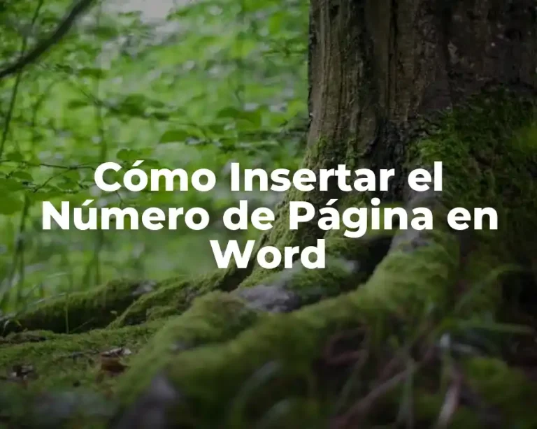 Cómo Insertar el Número de Página en Word