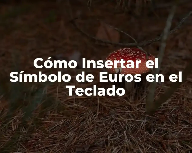 Cómo Insertar el Símbolo de Euros en el Teclado