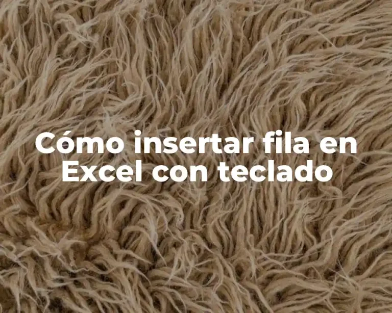 Cómo insertar fila en Excel con teclado