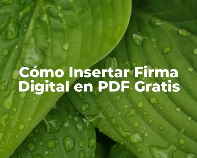 Cómo Insertar Firma Digital en PDF Gratis