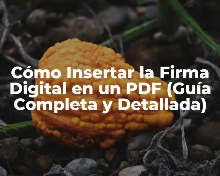 Cómo Insertar la Firma Digital en un PDF (Guía Completa y Detallada)