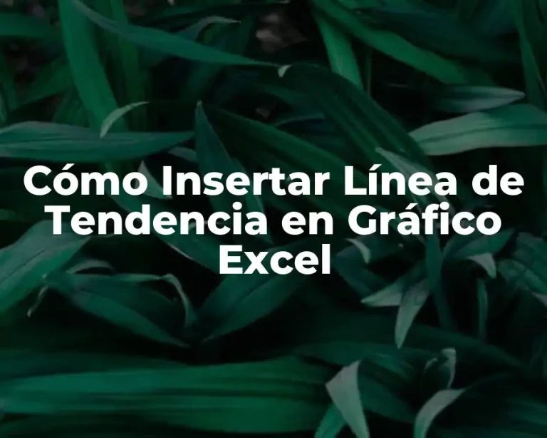 Cómo Insertar Línea de Tendencia en Gráfico Excel