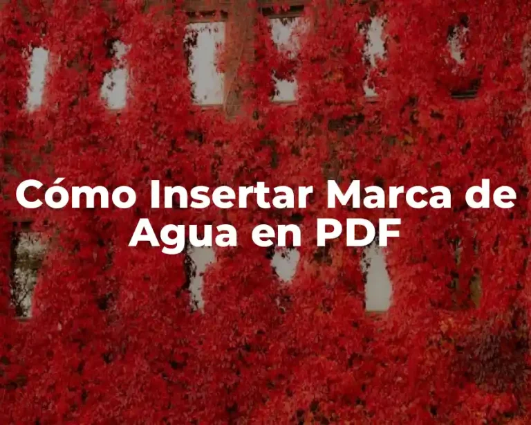 Cómo Insertar Marca de Agua en PDF