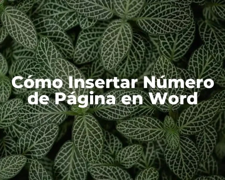 Cómo Insertar Número de Página en Word