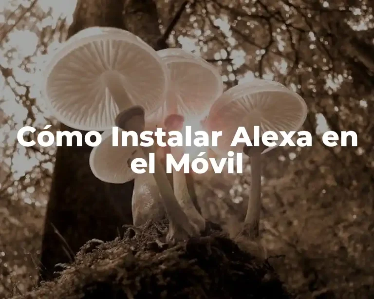 Cómo Instalar Alexa en el Móvil
