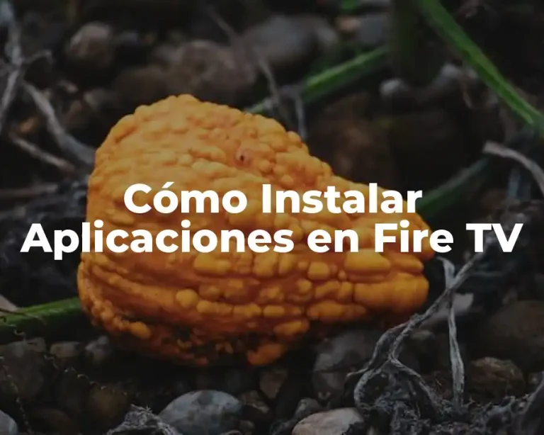 Cómo Instalar Aplicaciones en Fire TV