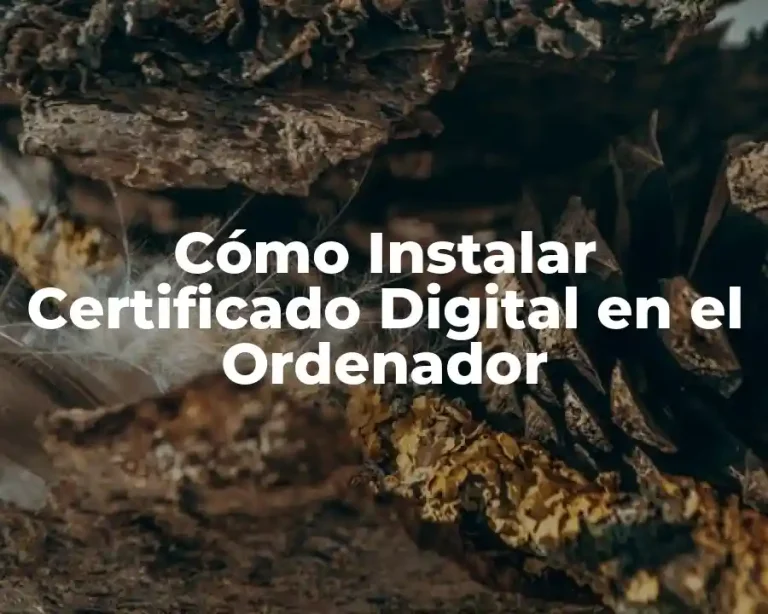 Cómo Instalar Certificado Digital en el Ordenador