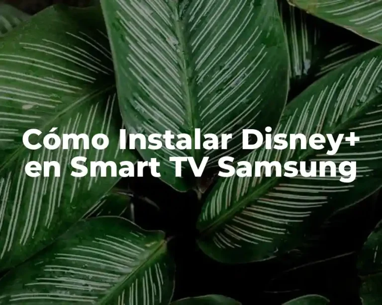 Cómo Instalar Disney+ en Smart TV Samsung