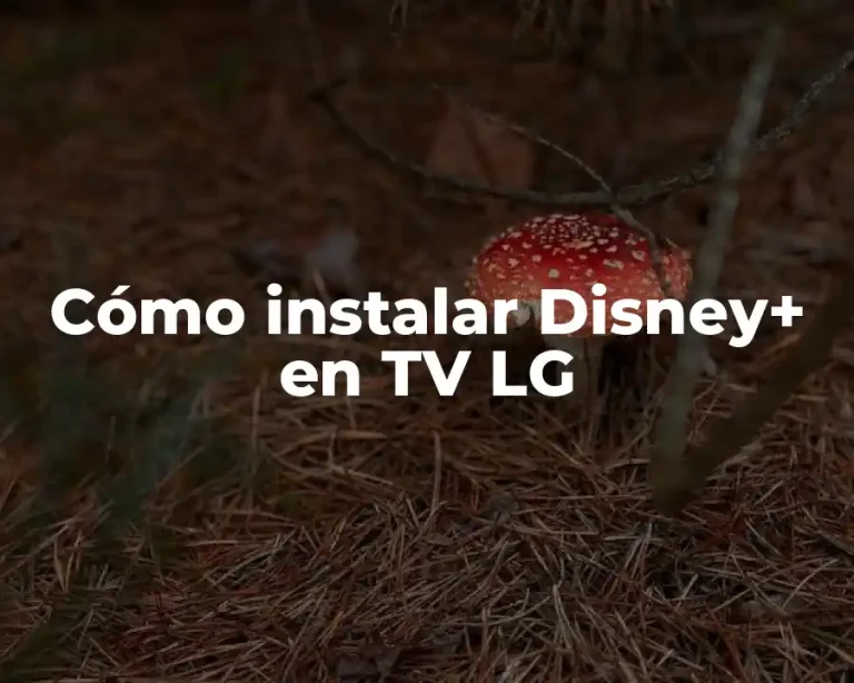 Cómo instalar Disney+ en TV LG