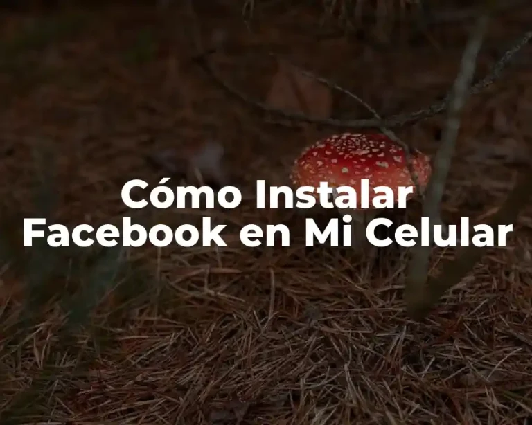 Cómo Instalar Facebook en Mi Celular