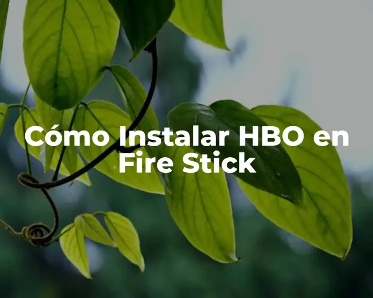 Cómo Instalar HBO en Fire Stick