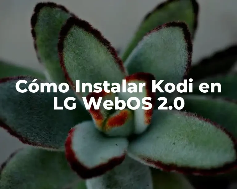 Cómo Instalar Kodi en LG WebOS 2.0