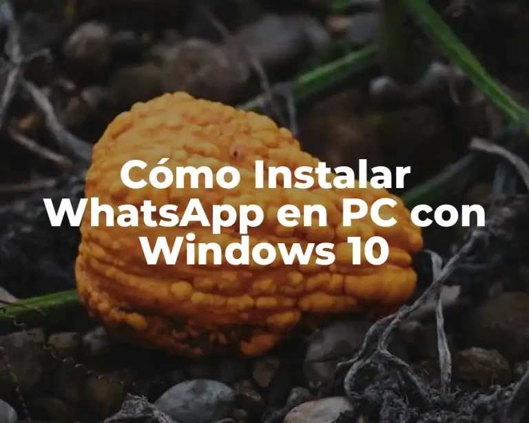 Cómo Instalar WhatsApp en PC con Windows 10