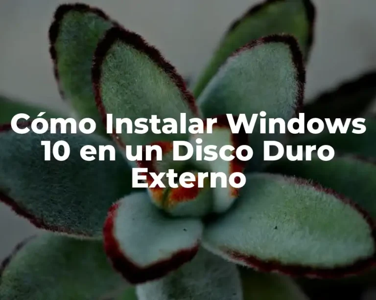 Cómo Instalar Windows 10 en un Disco Duro Externo