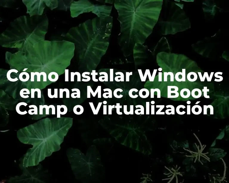 Cómo Instalar Windows en una Mac con Boot Camp o Virtualización