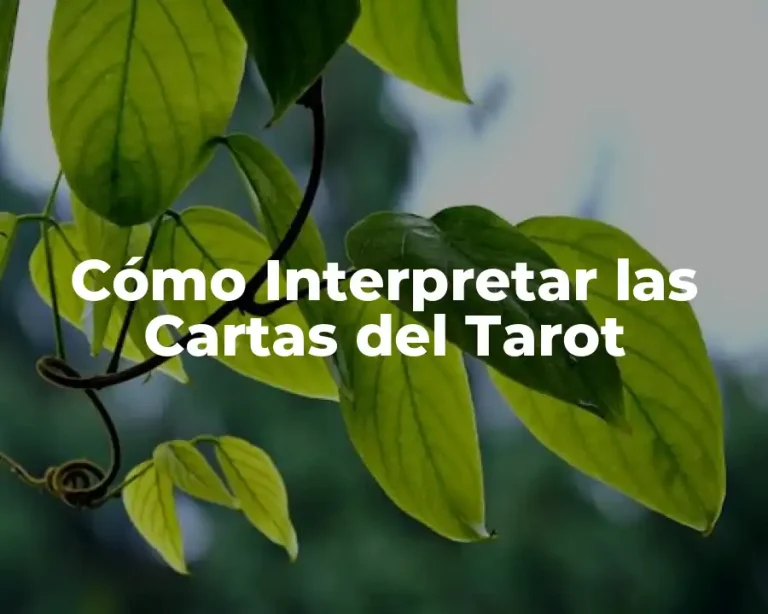 Cómo Interpretar las Cartas del Tarot