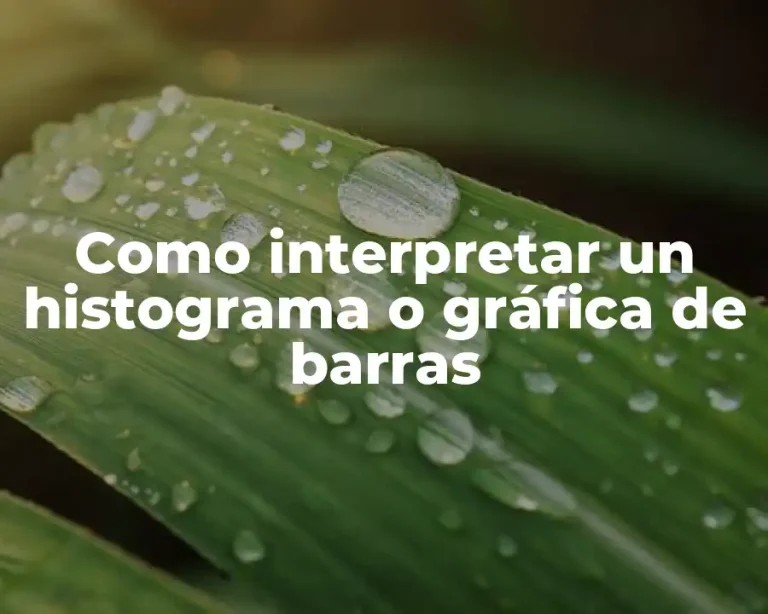 Como interpretar un histograma o gráfica de barras