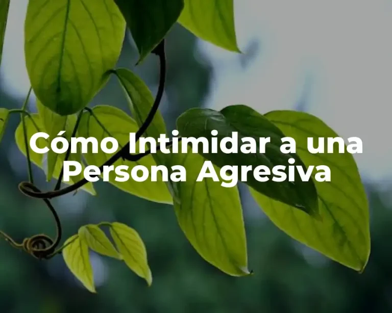 Cómo Intimidar a una Persona Agresiva