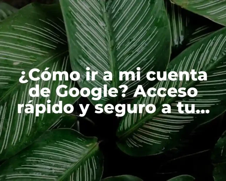 ¿Cómo ir a mi cuenta de Google? Acceso rápido y seguro a tu cuenta de Google