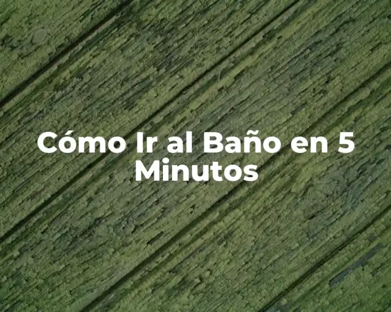 Cómo Ir al Baño en 5 Minutos