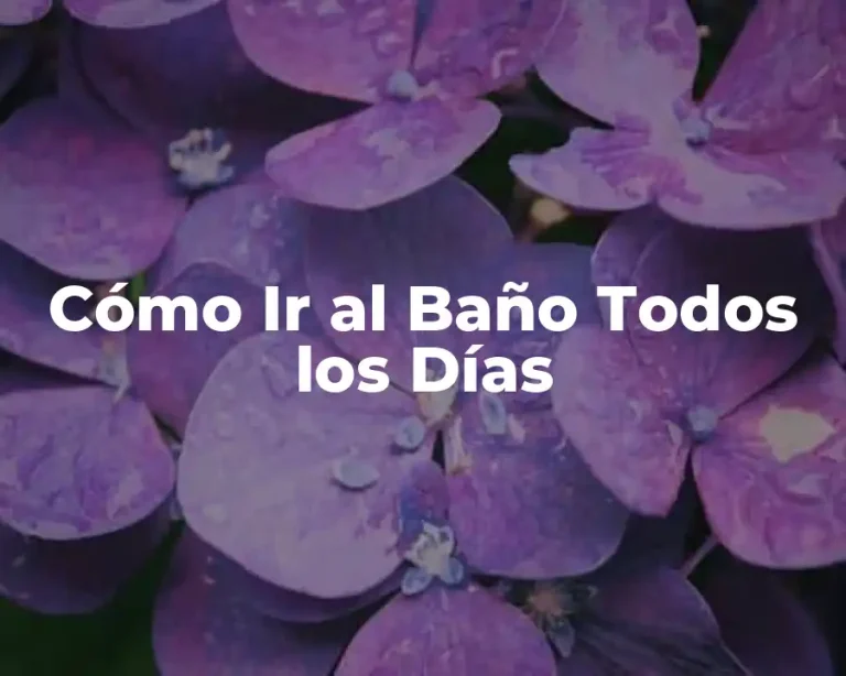 Cómo Ir al Baño Todos los Días