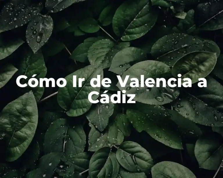 Cómo Ir de Valencia a Cádiz