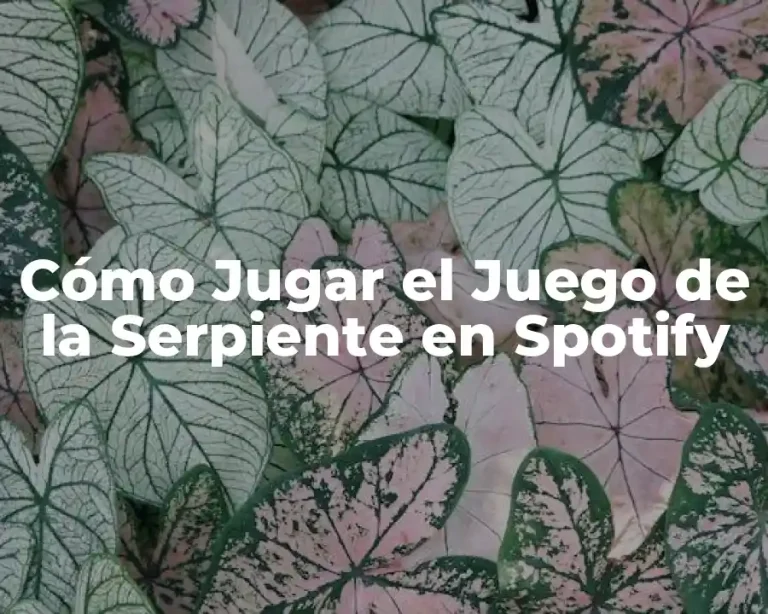 Cómo Jugar el Juego de la Serpiente en Spotify