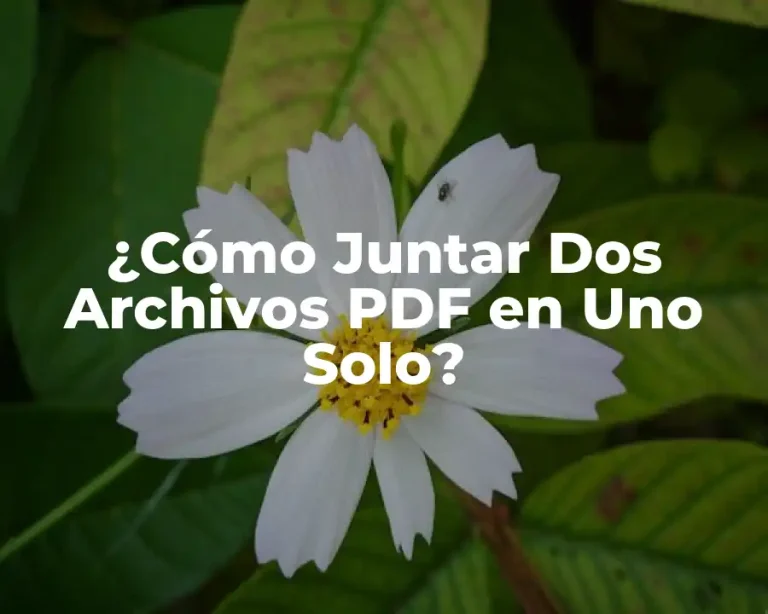 ¿Cómo Juntar Dos Archivos PDF en Uno Solo?