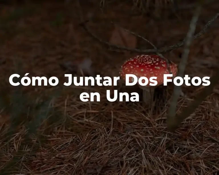 Cómo Juntar Dos Fotos en Una