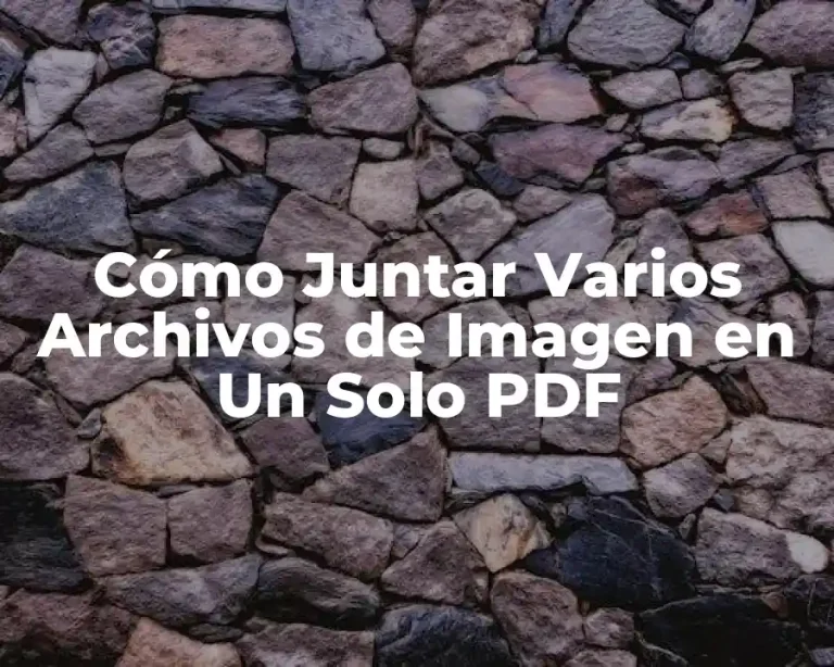 Cómo Juntar Varios Archivos de Imagen en Un Solo PDF