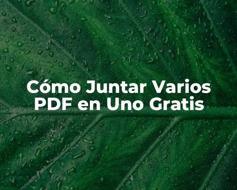 Cómo Juntar Varios PDF en Uno Gratis