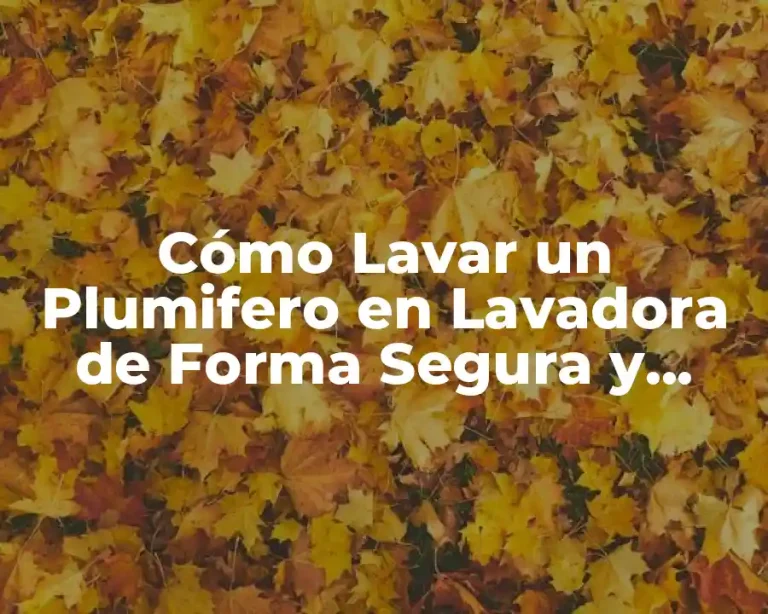Cómo Lavar un Plumifero en Lavadora de Forma Segura y Efectiva