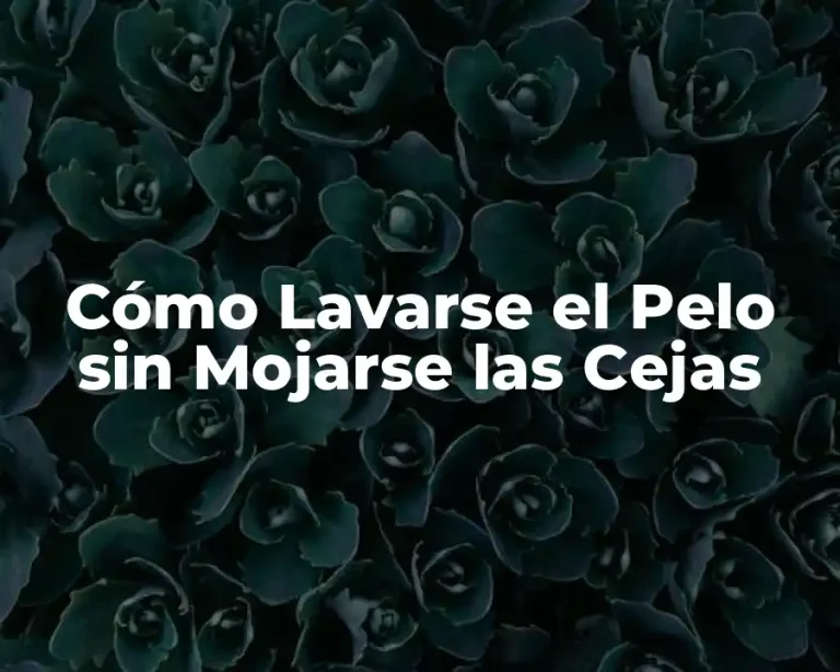 Cómo Lavarse el Pelo sin Mojarse las Cejas