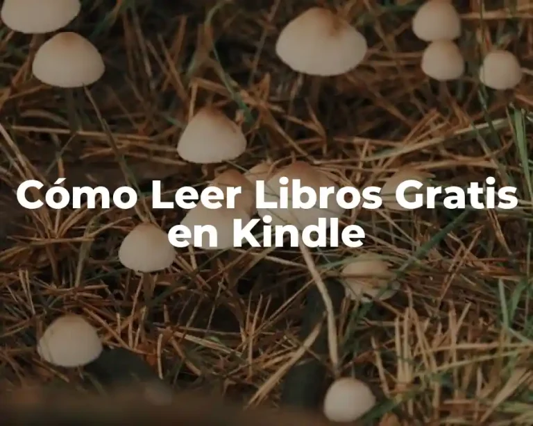 Cómo Leer Libros Gratis en Kindle