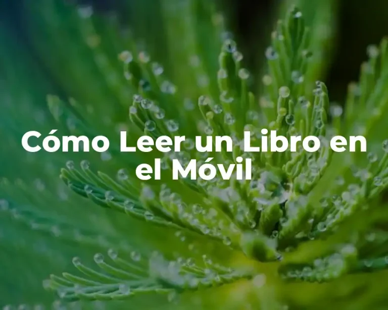 Cómo Leer un Libro en el Móvil