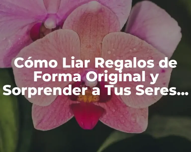 Cómo Liar Regalos de Forma Original y Sorprender a Tus Seres Queridos