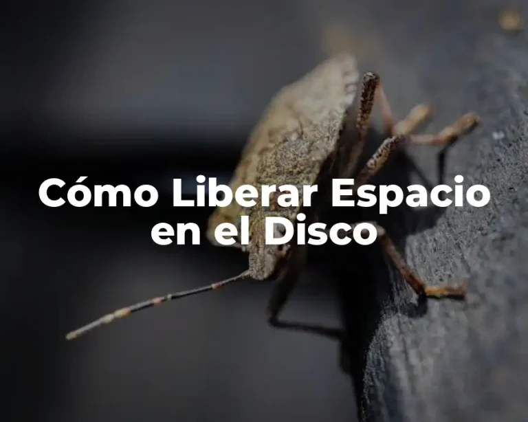 Cómo Liberar Espacio en el Disco