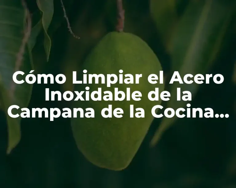 Cómo Limpiar el Acero Inoxidable de la Campana de la Cocina sin Dañarla