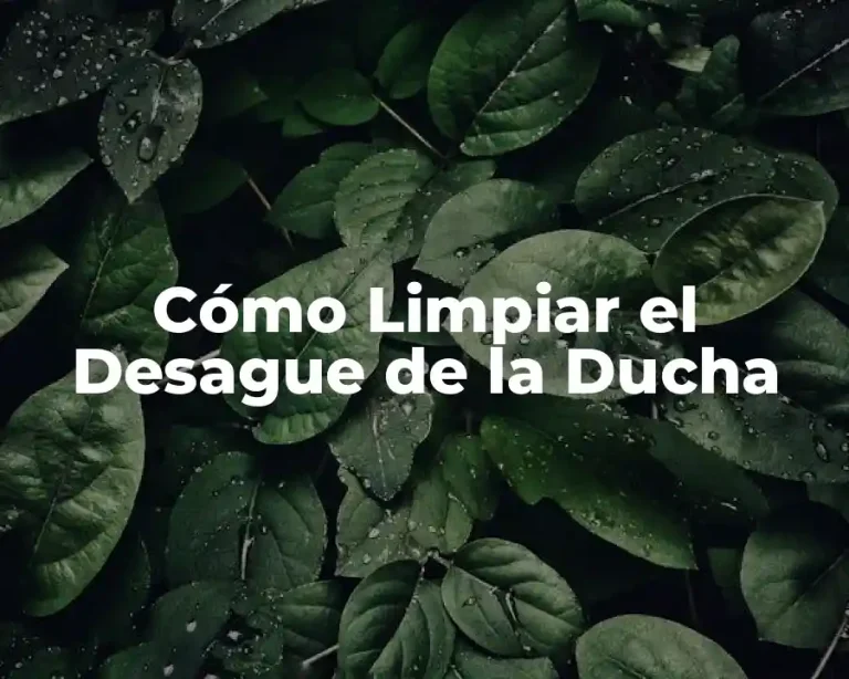 Cómo Limpiar el Desague de la Ducha