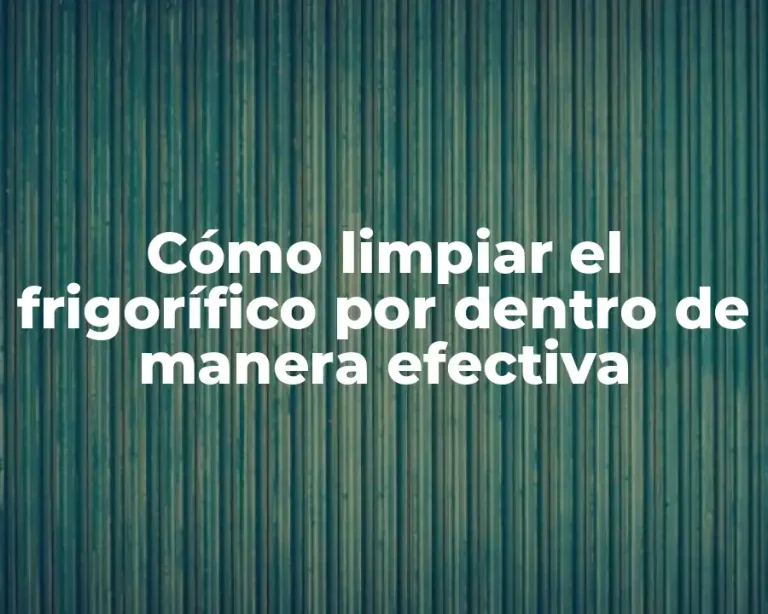 Cómo limpiar el frigorífico por dentro de manera efectiva