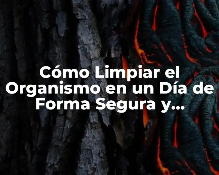 Cómo Limpiar el Organismo en un Día de Forma Segura y Efectiva