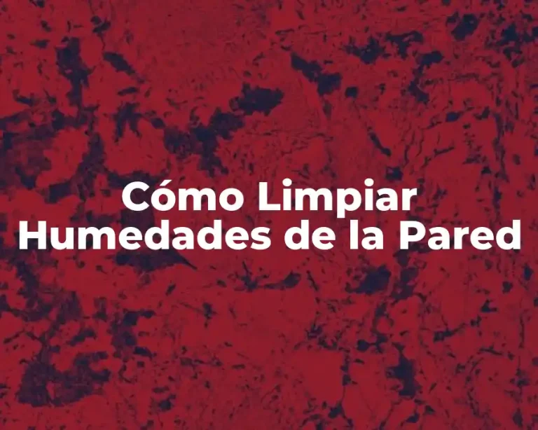 Cómo Limpiar Humedades de la Pared