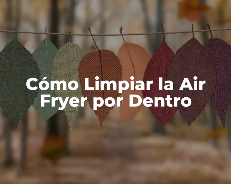 Cómo Limpiar la Air Fryer por Dentro