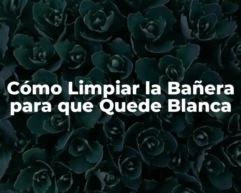 Cómo Limpiar la Bañera para que Quede Blanca