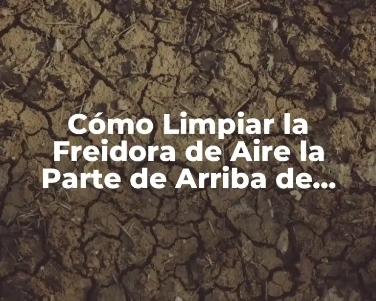 Cómo Limpiar la Freidora de Aire la Parte de Arriba de Forma Efectiva