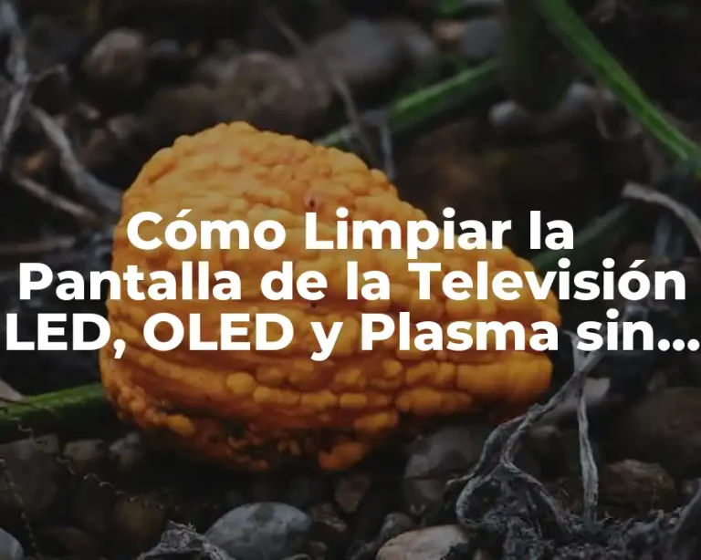 Cómo Limpiar la Pantalla de la Televisión LED, OLED y Plasma sin Dañarla