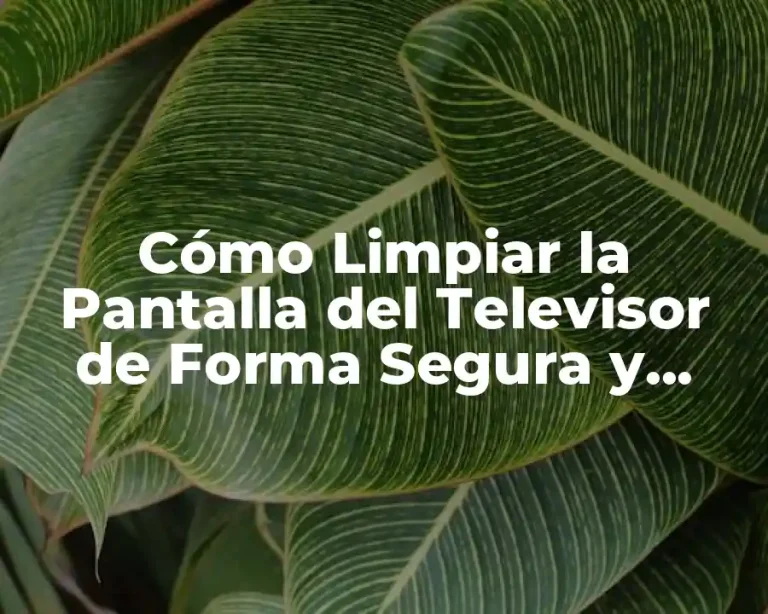 Cómo Limpiar la Pantalla del Televisor de Forma Segura y Efectiva