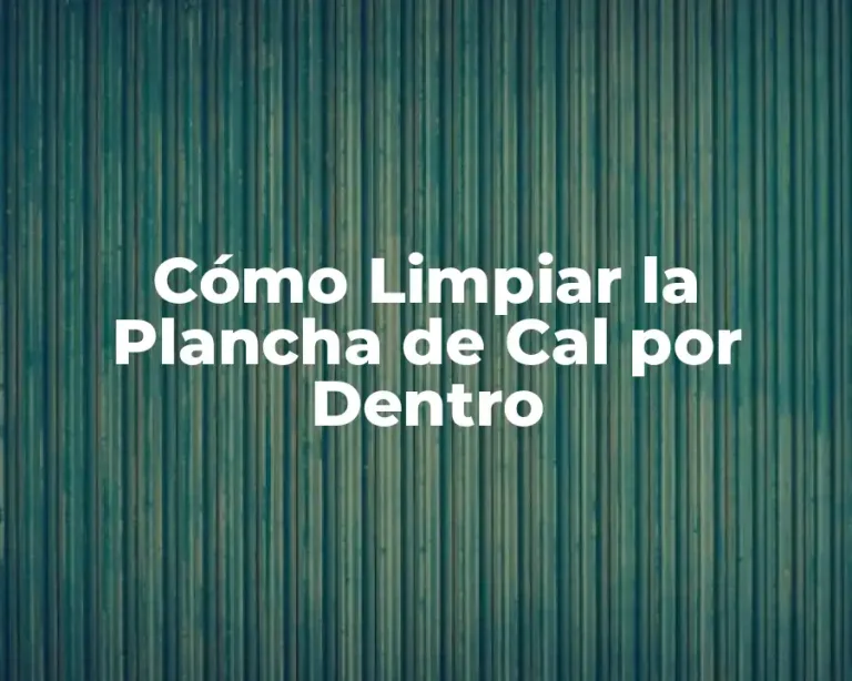 Cómo Limpiar la Plancha de Cal por Dentro