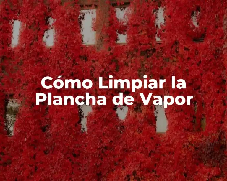 Cómo Limpiar la Plancha de Vapor